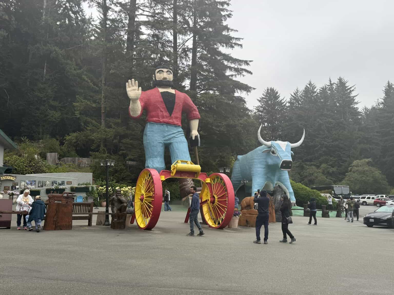3 days in Redwood National Park Itinerary covering all the parks! - My