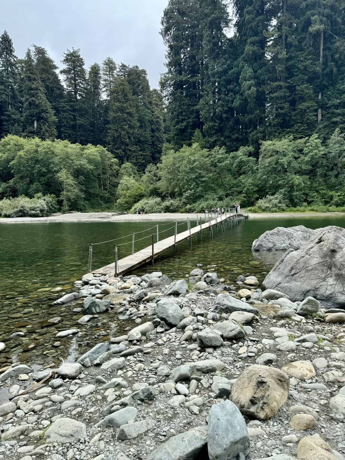 My visit to Stout Grove in Jedediah Smith Redwoods State Park - My ...