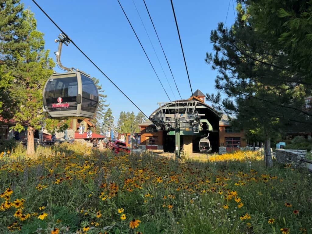 Gondola cars near the base of the station