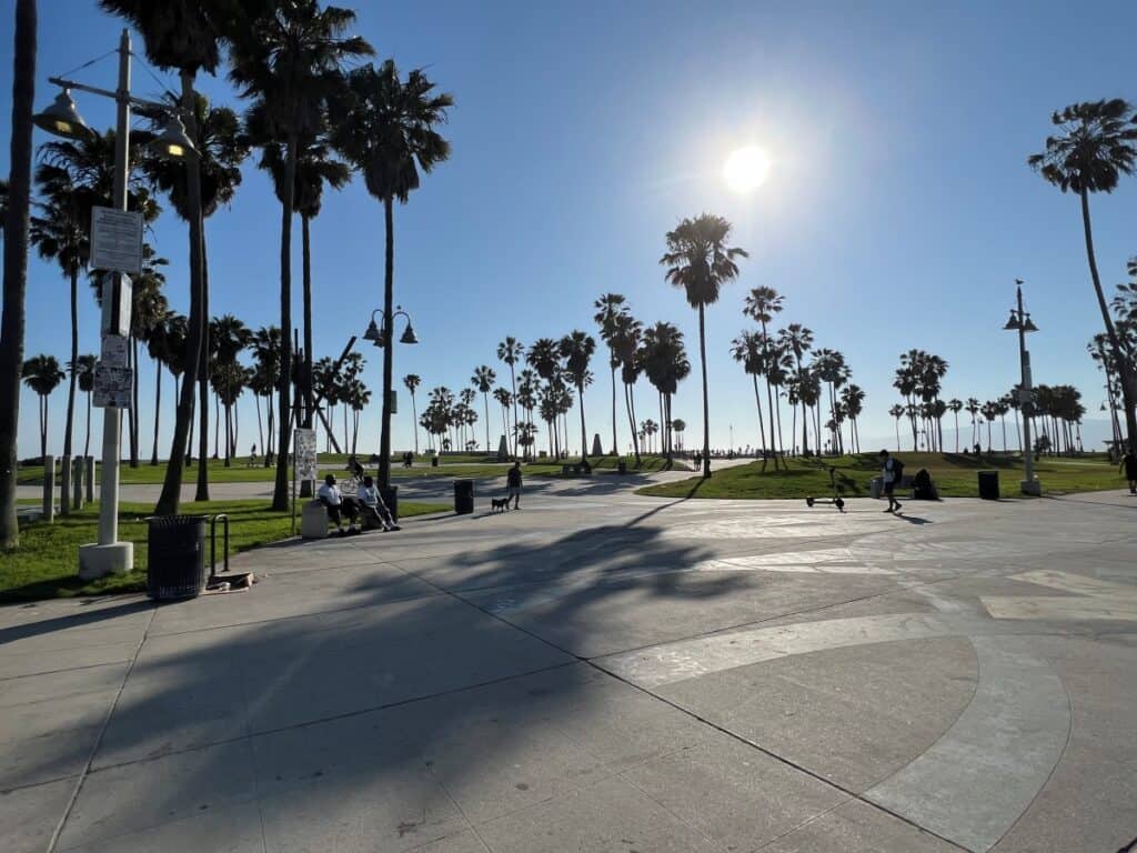 A wide boardwalk with palm trees