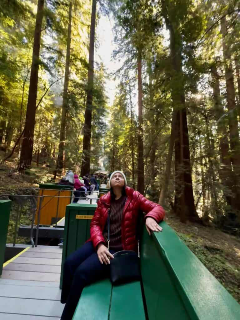 A girl sitting in an open air train car looking up admiring the redwoods