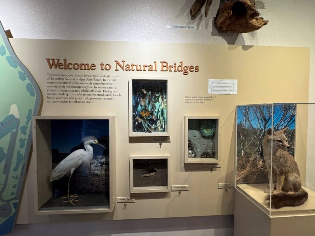 Informative Displays at Natural Bridges Visitor Center