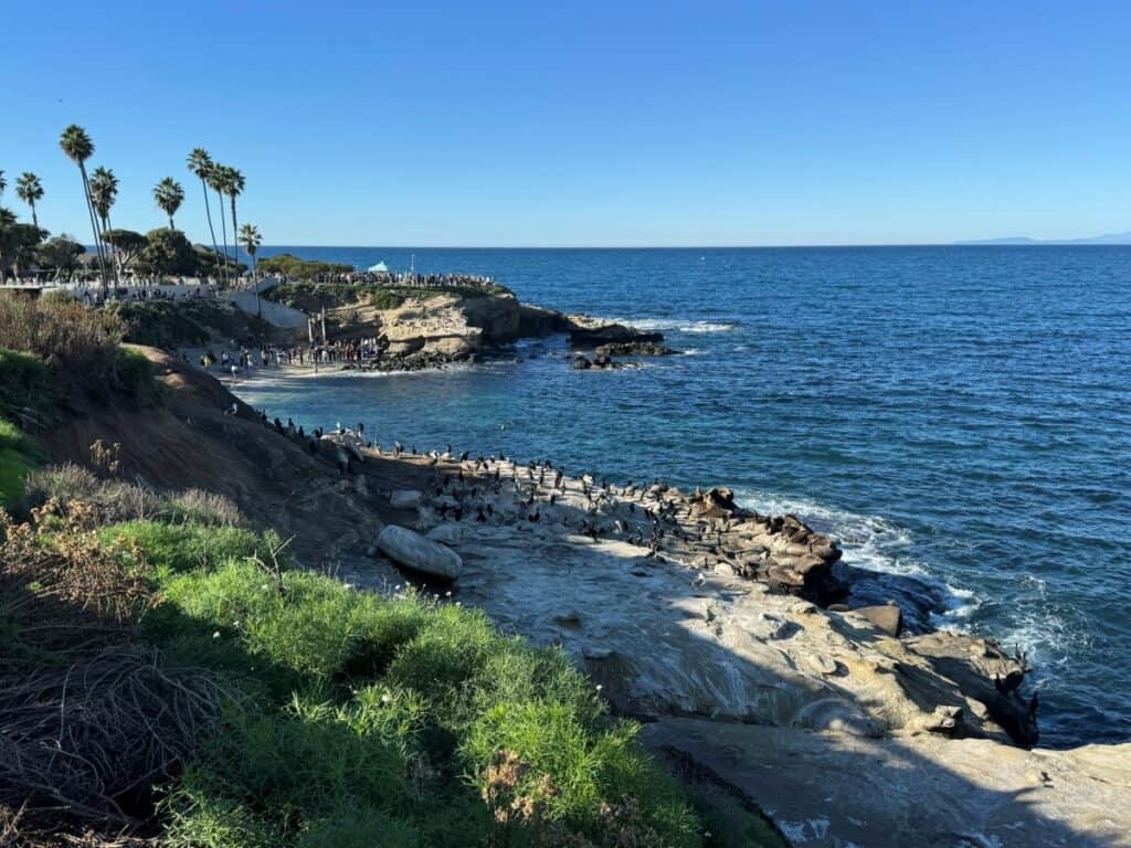 La Jolla Cove with waves crashing against the rocky shoreline on a sunny day.