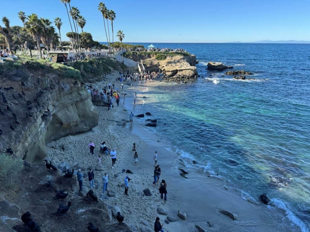 People relaxing and swimming at La Jolla Cove with waves crashing against the rocky shoreline on a sunny day.