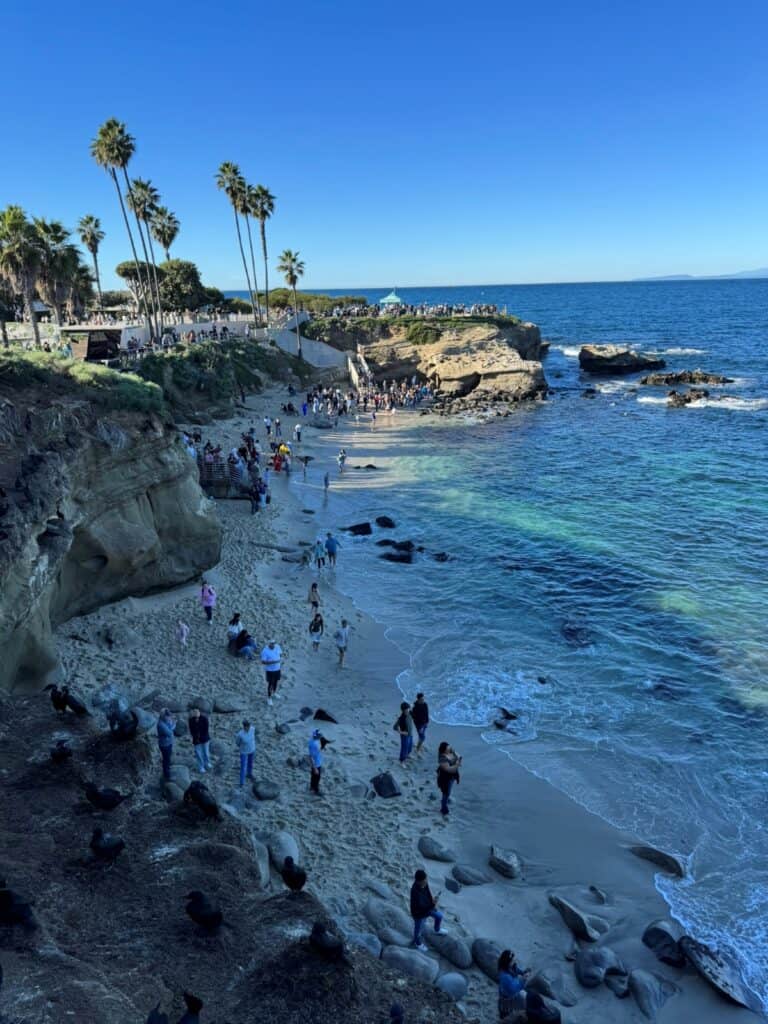 People relaxing and swimming at La Jolla Cove with waves crashing against the rocky shoreline on a sunny day.