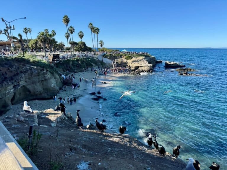 People relaxing and swimming at La Jolla Cove with waves crashing against the rocky shoreline on a sunny day.