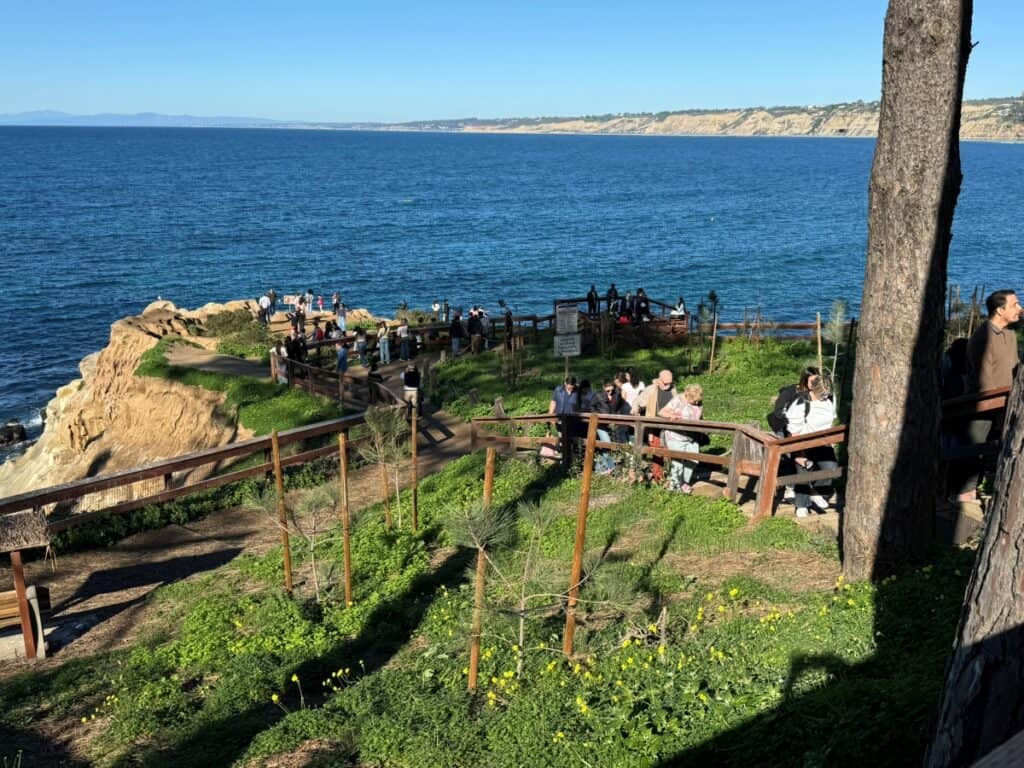 A fenced overlook area on a rocky cliff near the ocean