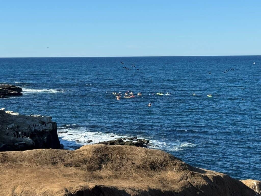 A group of kayaks in the ocean near La Jolla Cove