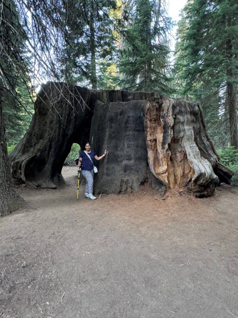 Big Stump Trail