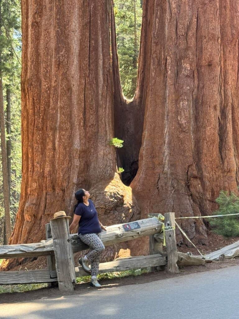 Me admiring the giant sequoias