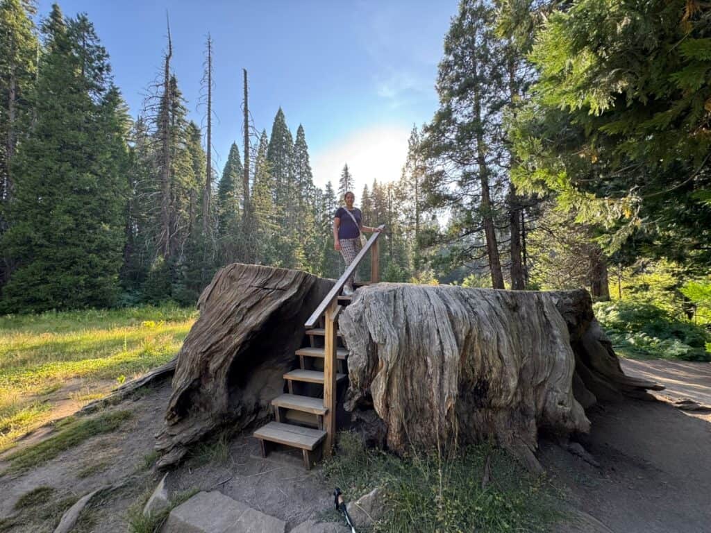 Me on Mark Twain Stump