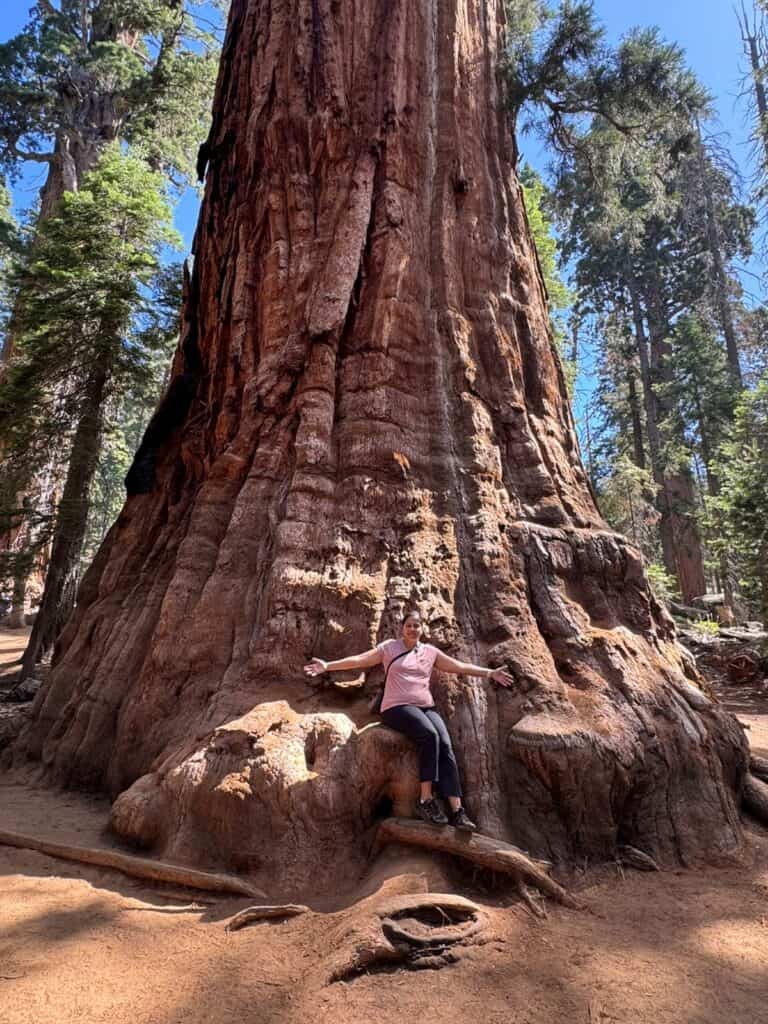 Me at President Tree on Congress Trail