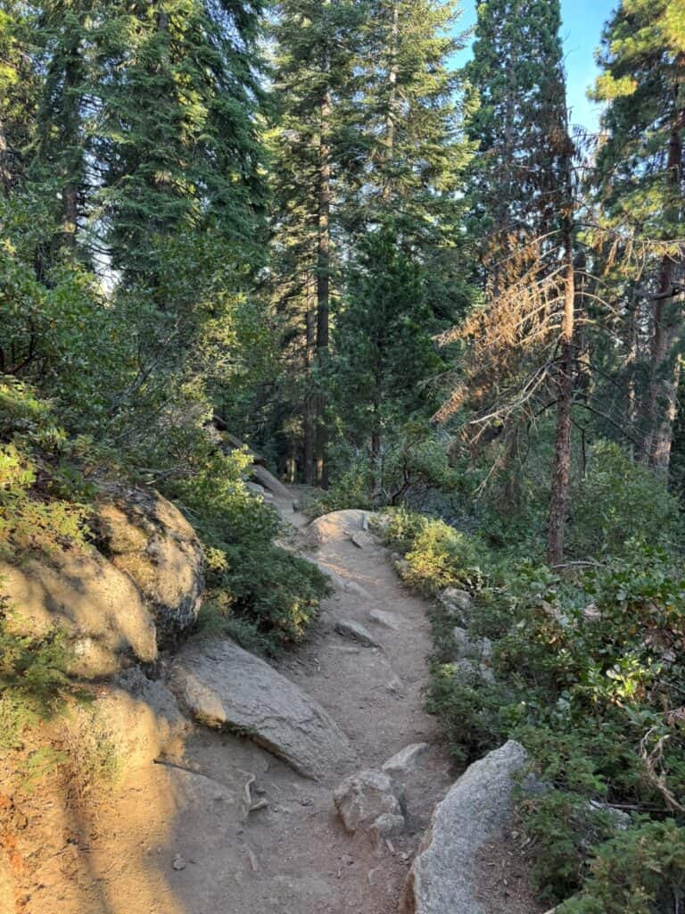 Big Stump Trail