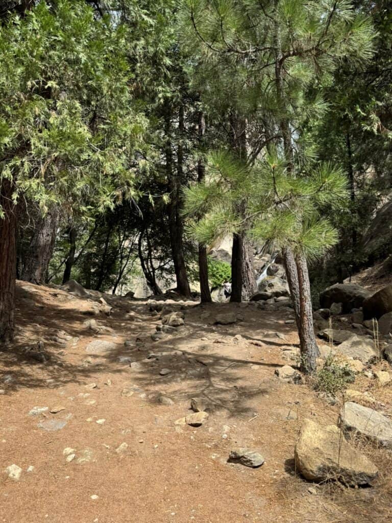 Grizzly Falls Trail