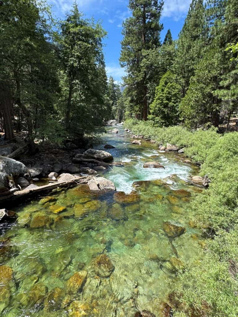 Kings River seen on Zumwalt Meadow trail