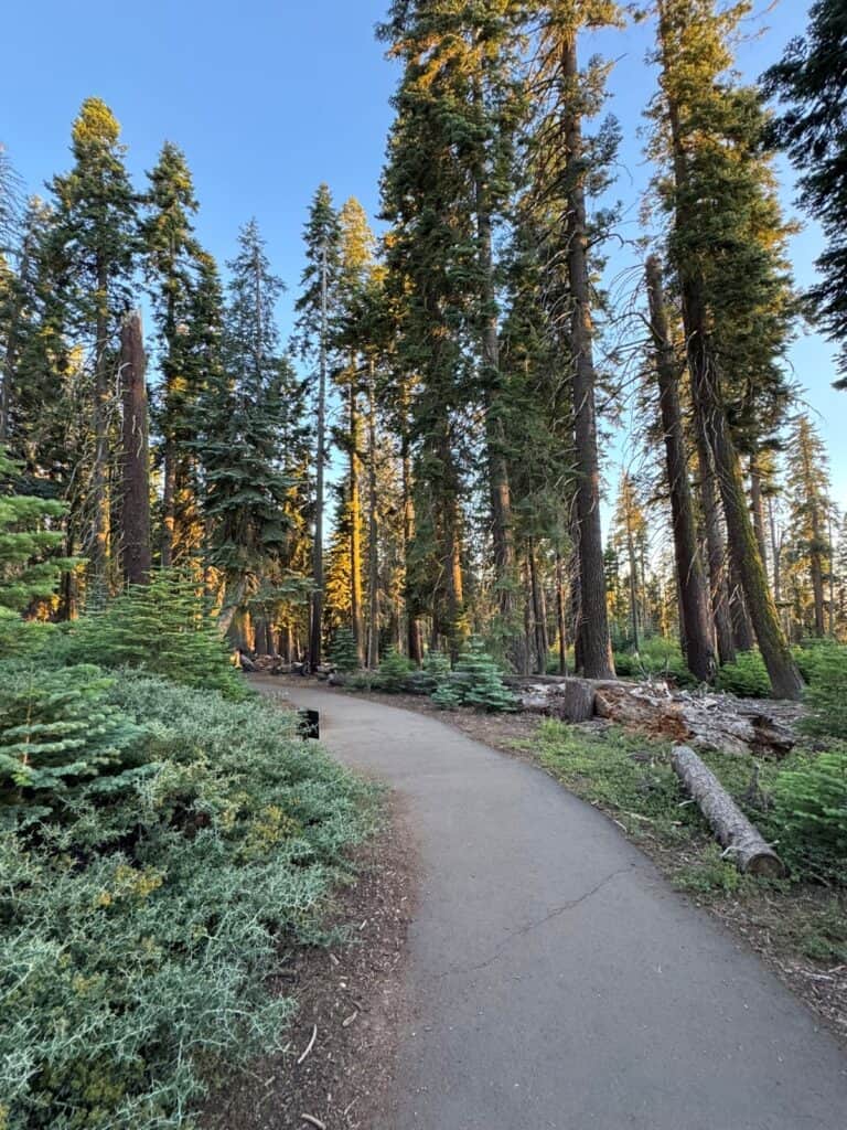 Panoramic Point Trail