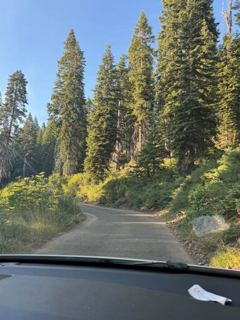 Single lane road to Panoramic point