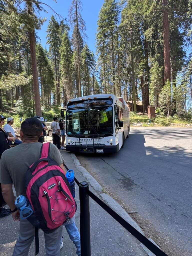 Sequoia National Park shuttle