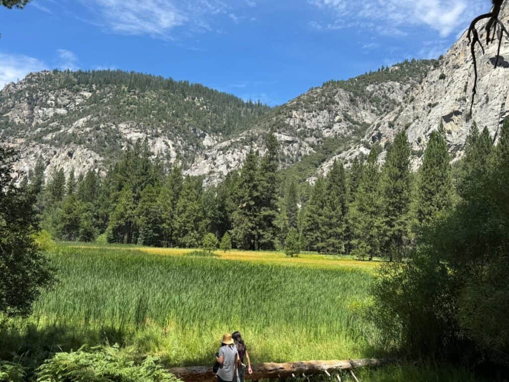 Zumwalt Meadow in Kings Canyon